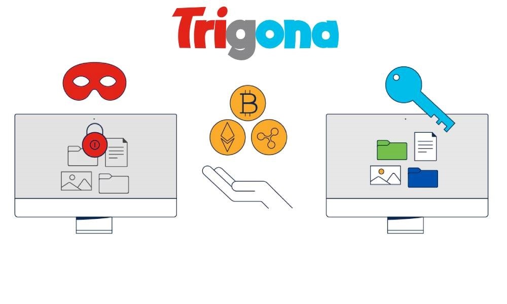 باج افزار Trigona