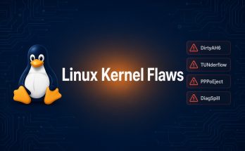 Linux Kernel Flaws
